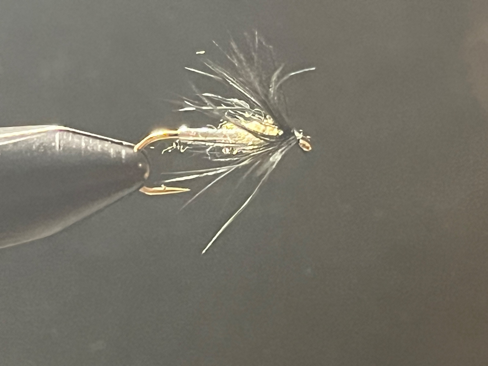 Spider fly pattern tied by Michael Terry