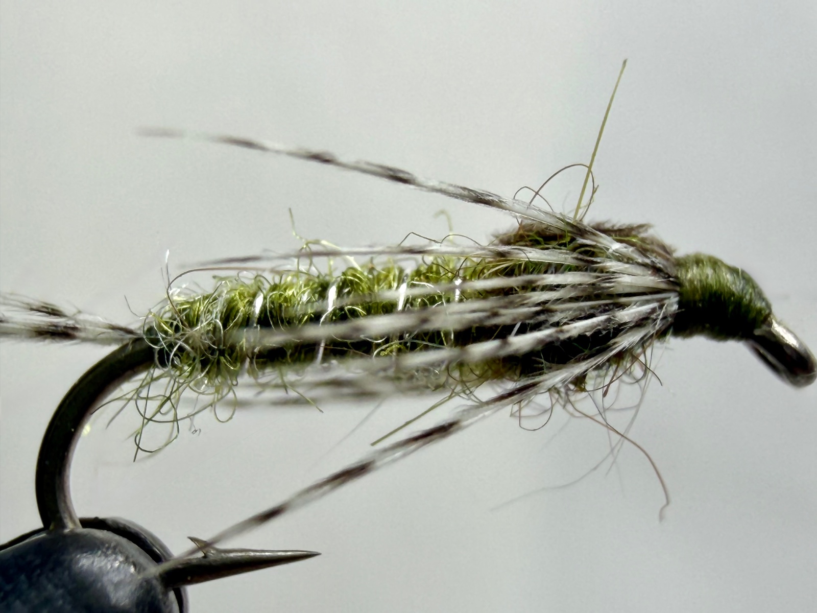 Blue Winged Olive Nymph fly pattern tied by Abby