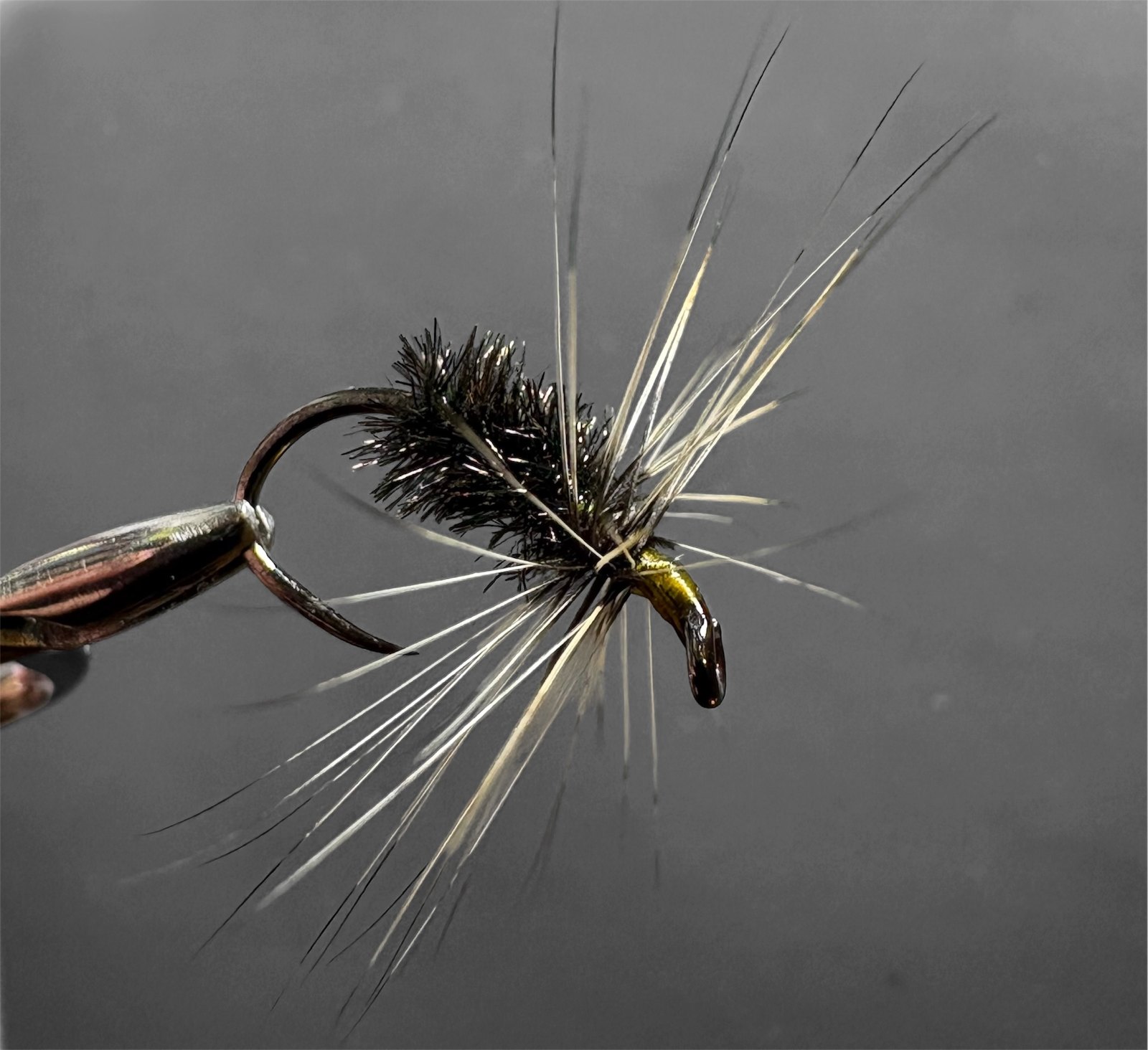 Peacock & Golden Badger fly pattern tied by Tenkara NY
