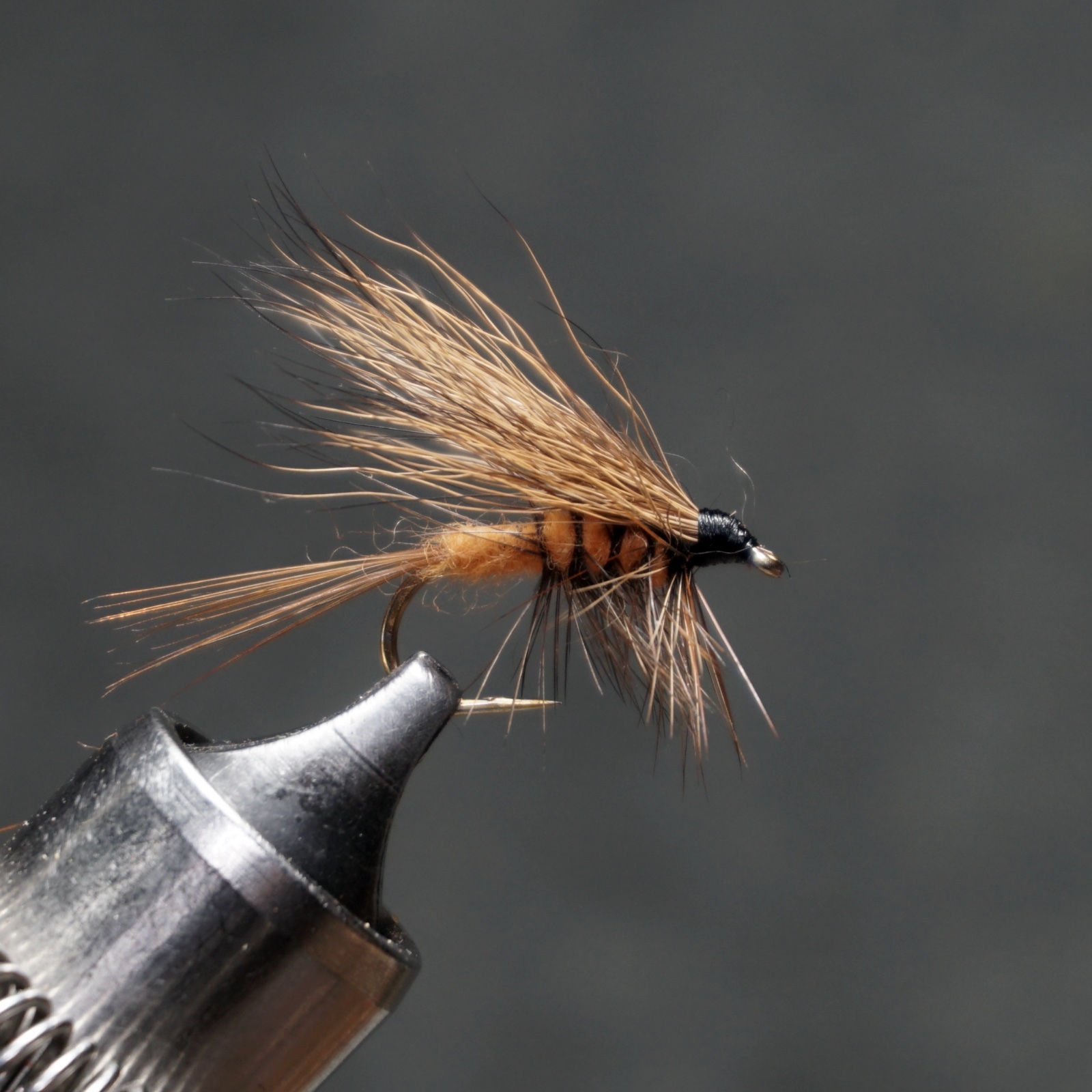 Dark Caddis fly pattern tied by Christian Andrews