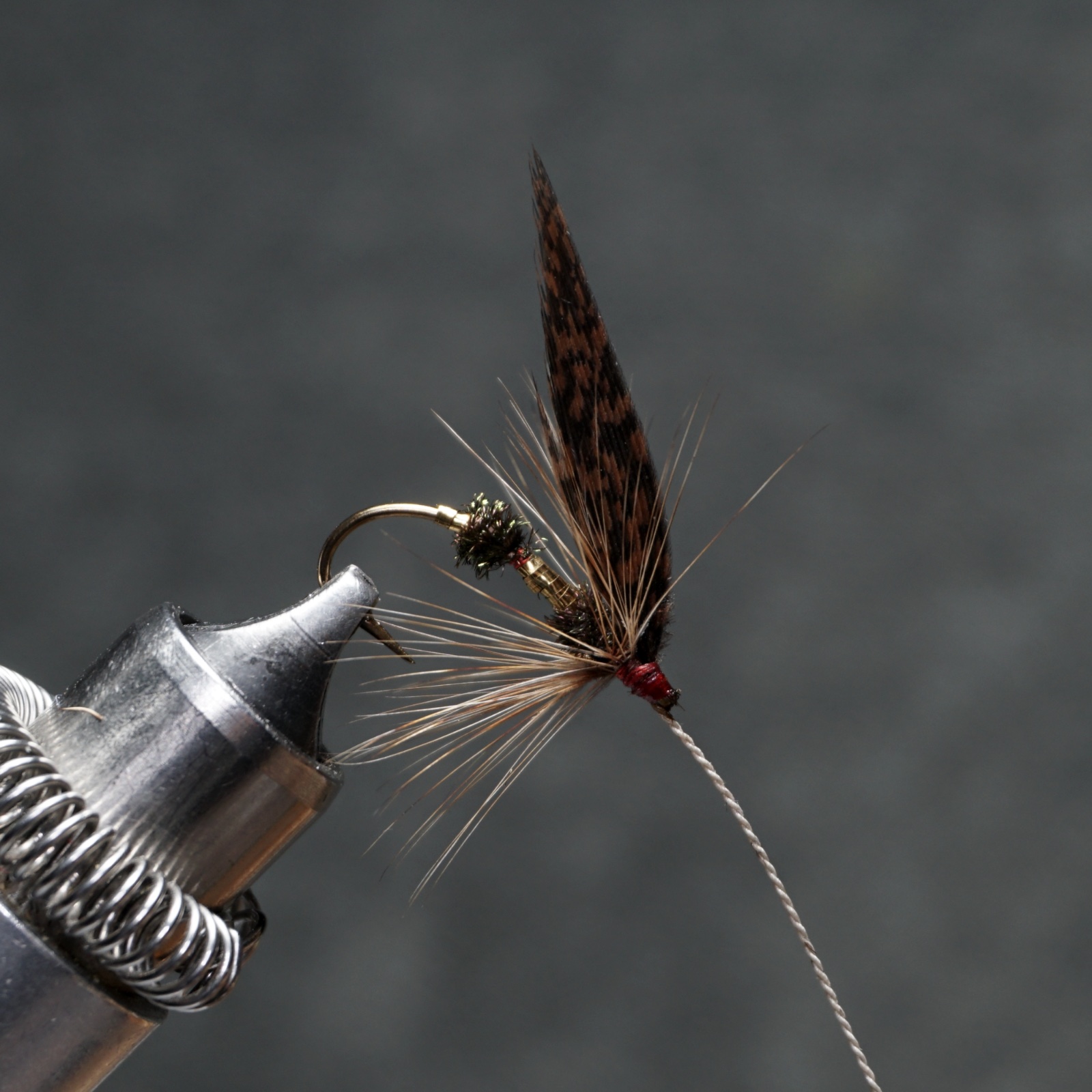 Shad Fly fly pattern tied by Christian Andrews