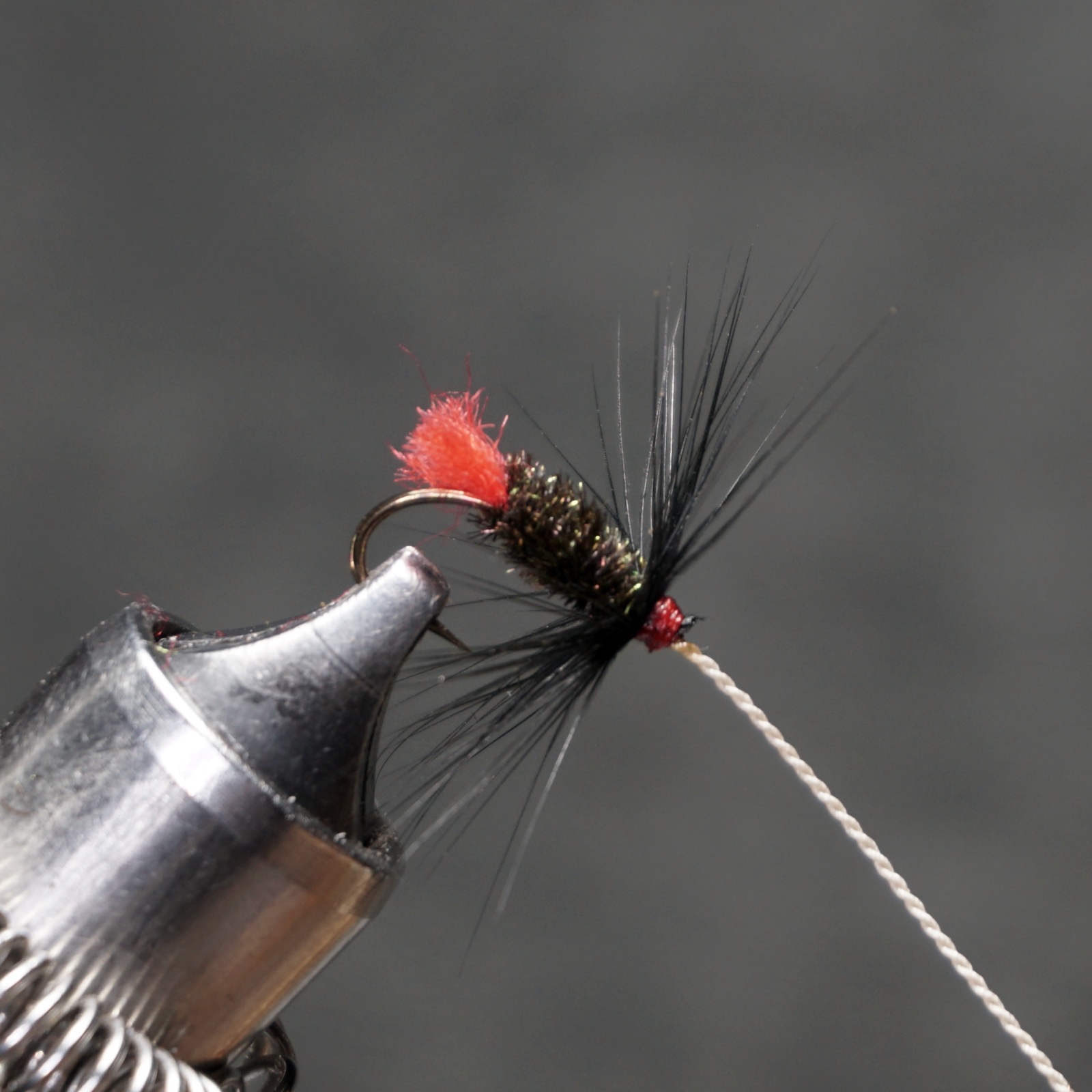 Zulu fly pattern tied by Christian Andrews