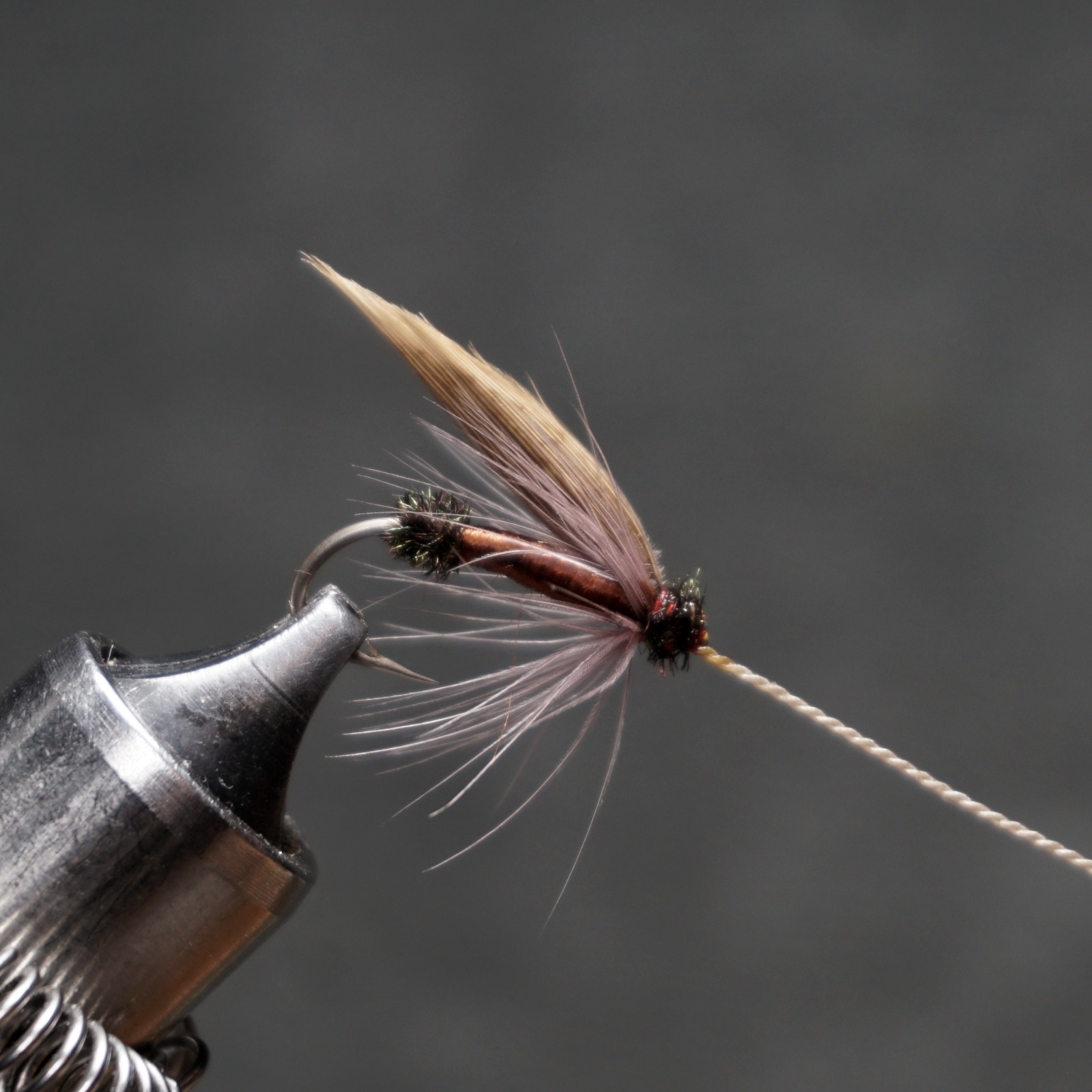Wilson's Ant fly pattern tied by Christian Andrews