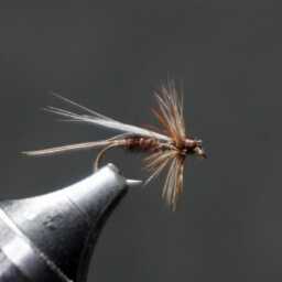 d3abc8300b934e149e9a1a51c4133e90.jpg